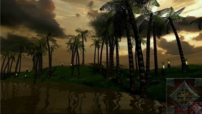 This is an image of Palm Trees on the Shore for Anarchy Online