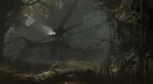 Accursed Woods